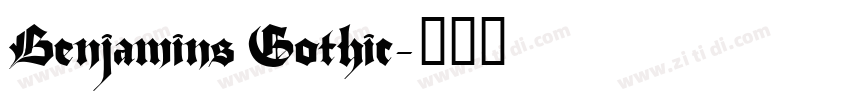 Benjamins Gothic字体转换